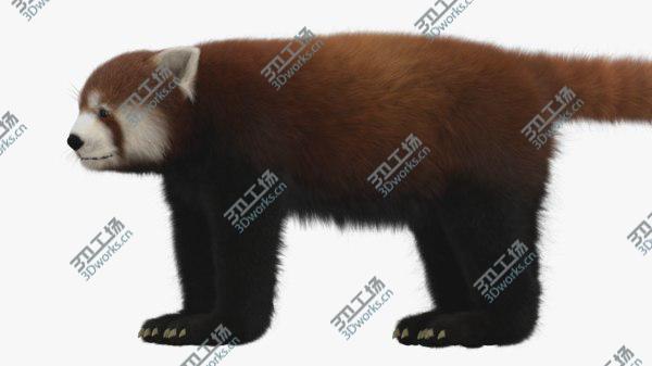 images/goods_img/20210312/Red Panda 3D/1.jpg